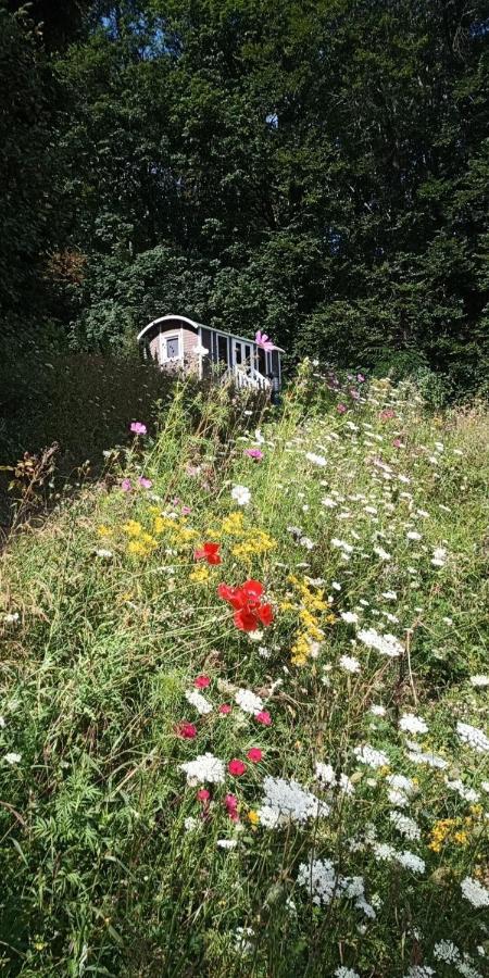 Gites Insolites Proche Nancy Marbache Bagian luar foto